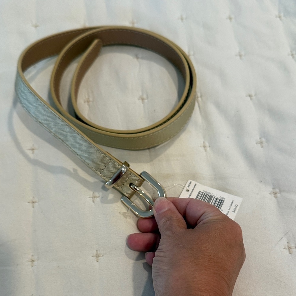 Banana Republic Gold Belt with Gold Buckle